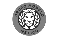 Grupo Modelo, cliente de WEBDOOR